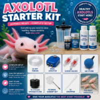 Axolotl Starter Kit (choose your babies)