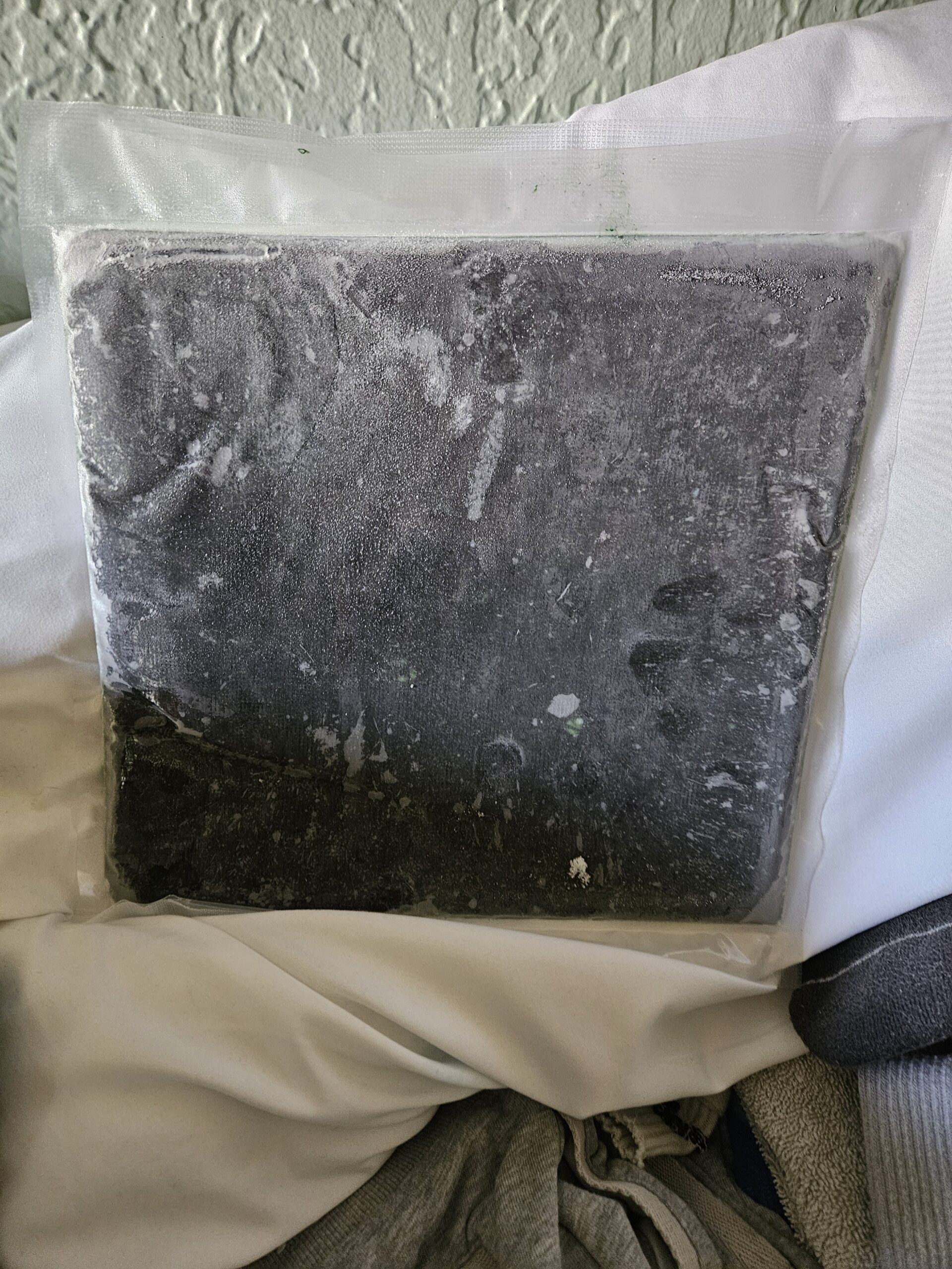 Homemade All-Natural Frozen Fish Food — 1 lb
