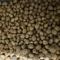 Fish Food