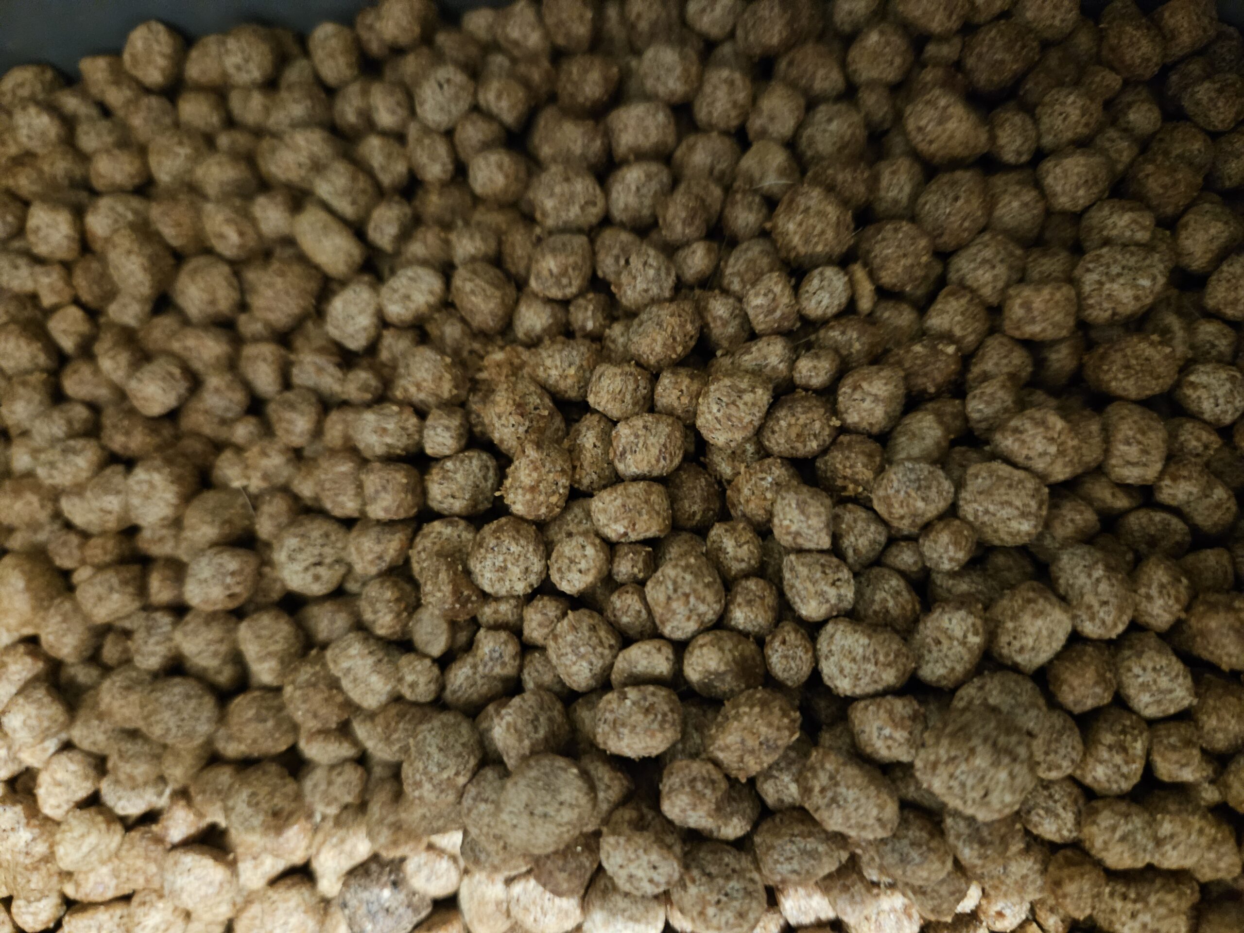 Garlic-Infused Medium Pellets — 18 oz