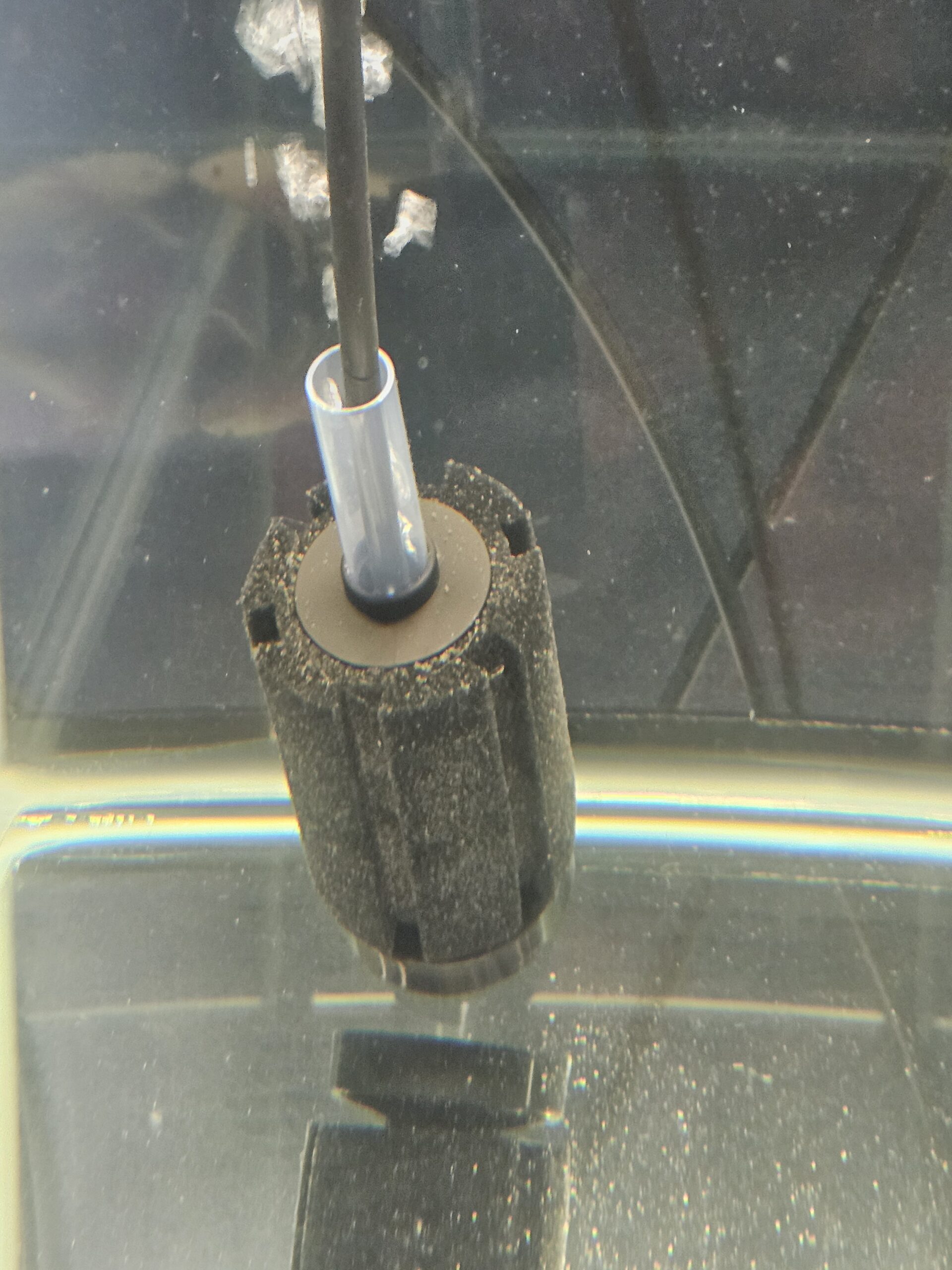 Pre-Cycled Sponge Filter for Axolotl Tanks - Image 4